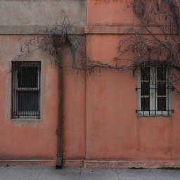 The beauty of all that is fleeting by Dana Lance for Danajohn Photography © danajohn302