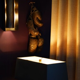 Pair of boxing gloves by Dana Lance for Danajohn Photography © danajohn302