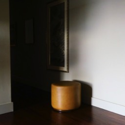 Ottoman in morning light by Dana Lance for Danajohn Photography © danajohn302