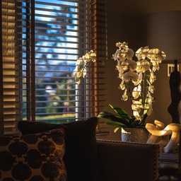 Layers of light, form and texture by Dana Lance for Danajohn Photography © danajohn302