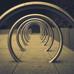 Form follows function by Dana Lance for Danajohn Photography © danajohn302