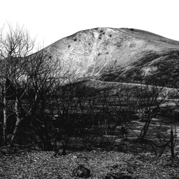 Remnant, one of many Malibu fires by Dana Lance for Danajohn Photography © danajohn302